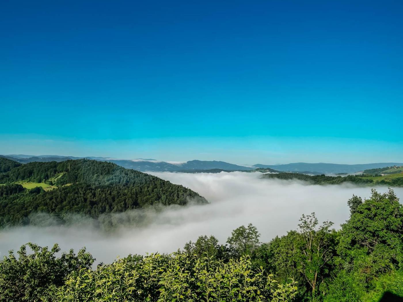 Winzerhaus Roemerstrasse Китцекк-им-Заузаль Экстерьер фото