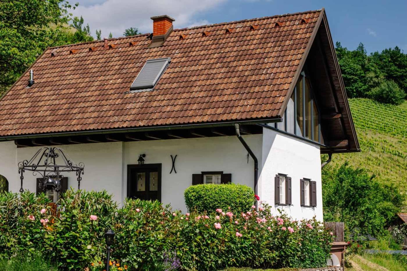Winzerhaus Roemerstrasse Китцекк-им-Заузаль Экстерьер фото